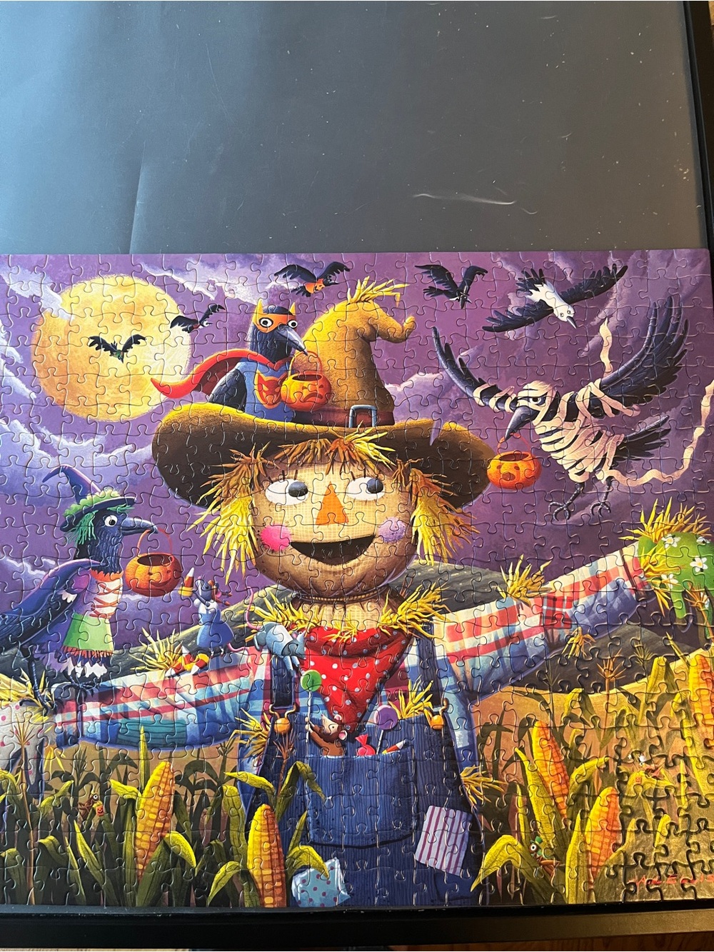 Boardwalk scarecrow puzzle 500 pieces- Purple & Yellow